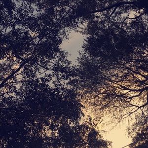 Meet your Posher, Kinsey